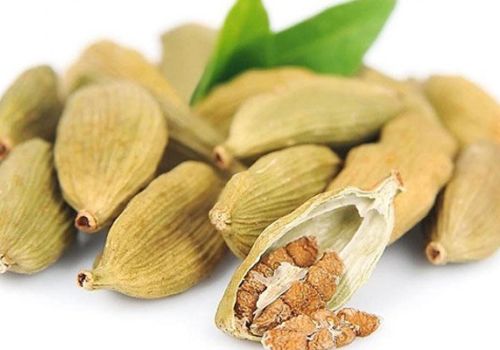 BẠCH ĐẬU KHẤU - DƯỢC LIỆU NINH HIỆP