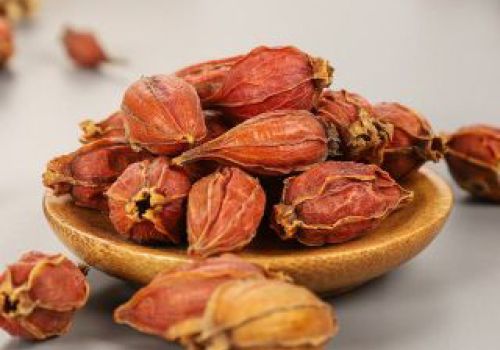 Dược liệu CHI TỬ - Dược liệu Ninh Hiệp