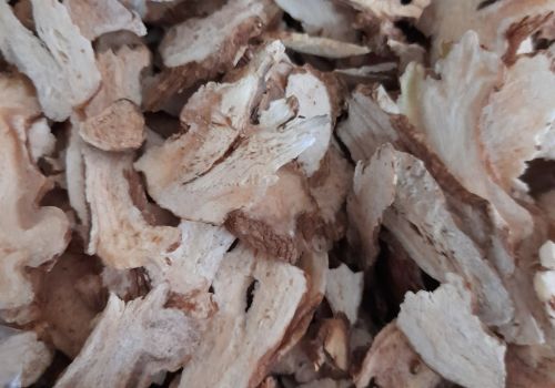 Vị thuốc Bạch truật - Dược liệu Ninh Hiệp