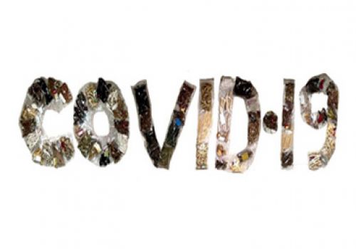 Một số dược liệu, vị thuốc cổ truyền và cây thuốc được sử dụng trong phòng và hỗ trợ điều trị viêm đường hô hấp cấp do virus SARS-CoV-2