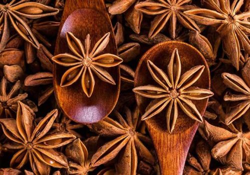 Dược liệu Đại hồi - Dược liệu Ninh Hiệp