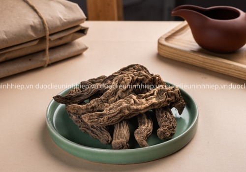 BẠCH CHỈ - DƯỢC LIỆU NINH HIỆP