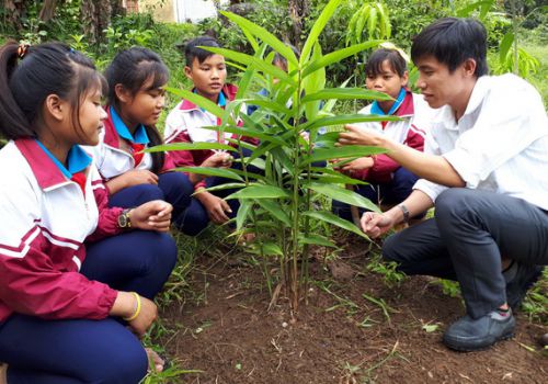 Đưa dược liệu vào trường học