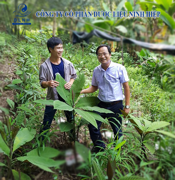 21761596_1886282274722401_2544558172472250931_n copy