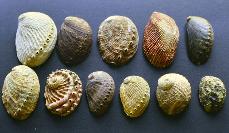 Thạch quyết minh 2