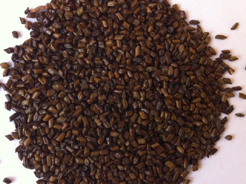 Thảo quyết minh 2