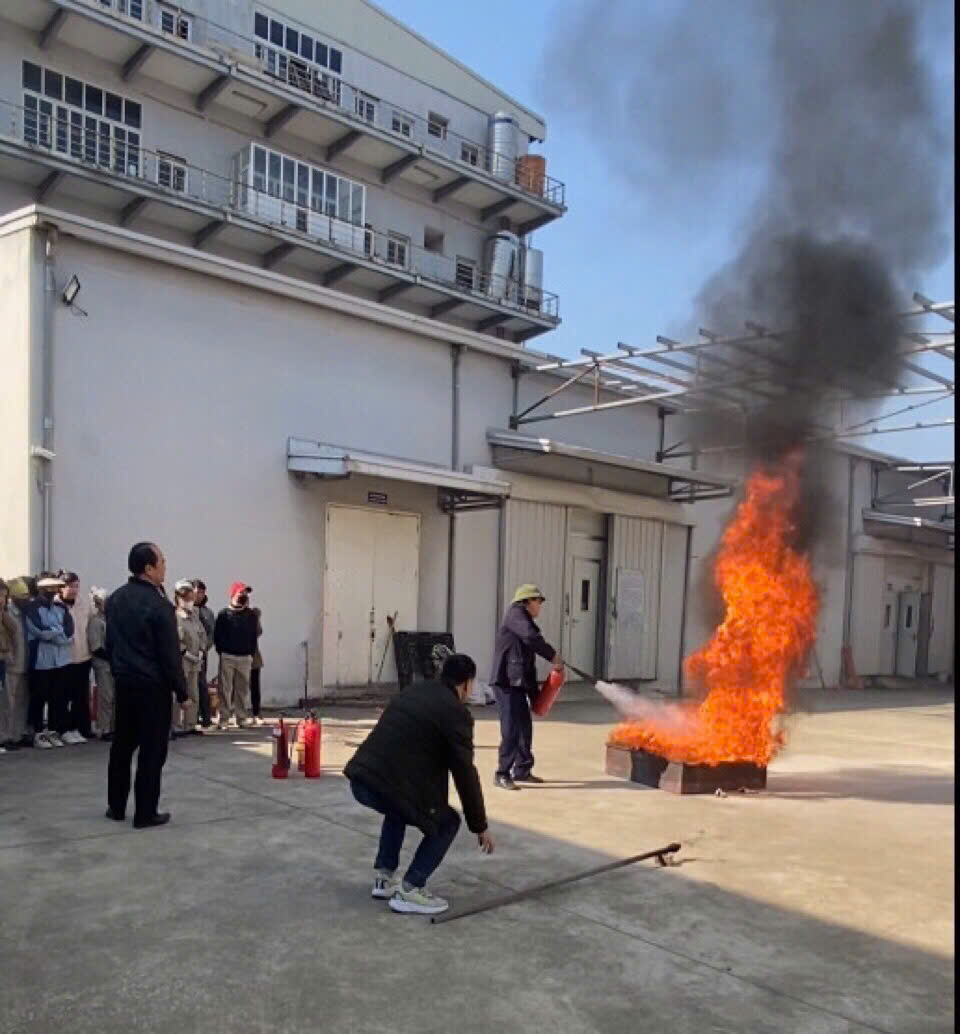 z7429452333331_e181b492d0c996ba609732efe80c5cd6