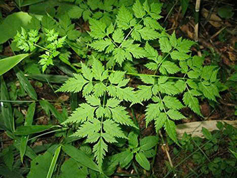 z7711588688739_6b17f3083f7881cd414a6417d7a382bc